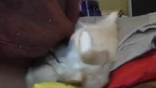 MerylinSekova free cam recording 2013 July 11