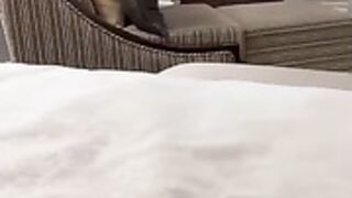 Hotel blowjob  helene Boudreau