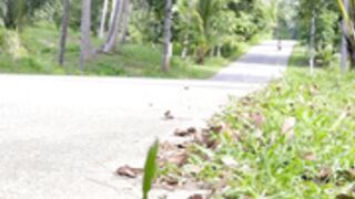 Octokuro - Motostory B G Sextape