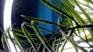 quennacindy-SoniaScott-cb-2025-04-28 1