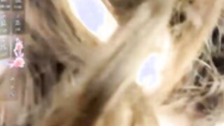 Sakuravice, 2026-03-07