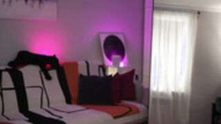 _blackbee_ 2026-03-19_10-31-29-003