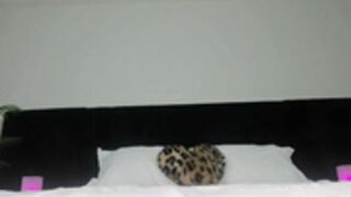 Ariallure 2025/09/21