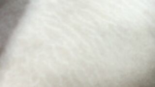 moertomlly_2023-12-06_05-36 iuki_link chan_lu