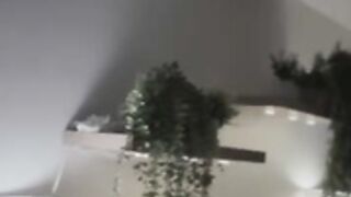 Aryrosee 11