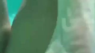 Underwater BJ by sexy Asian chick