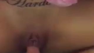 pink teddy bear