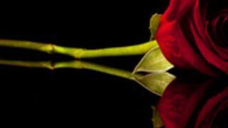 Armora 211122 2055 Lush-AssFlash